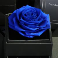 Hot selling eternal rose jewel case forever rose gift for wife