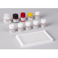 China Carbohydrate Antigen 19-9 Cancer Marker Blood Test CA199 ELISA KIT on sale