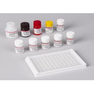 Carbohydrate Antigen 19-9 Cancer Marker Blood Test CA199 ELISA KIT