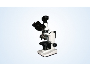 Digital polarizing microscope