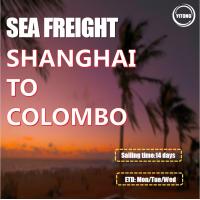 China Sea Freight From Shanghai China to Colombo Sri Lanka on sale