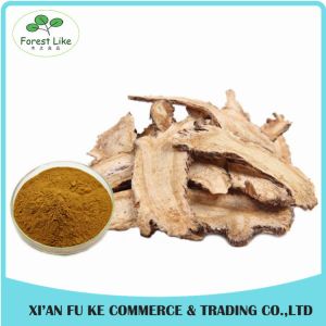 China 100% Dong Quai Extract/Angelica Root Extract Powder naturels purs supplier