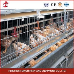 Hot Deep Galvanized Automatic Chicken Coop Equipment For Poultry Breeding Emily