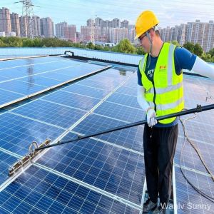 China Physical Cleaning High Pressure Solar Panel Cleaner for PV Panels and Algae Removal wholesale