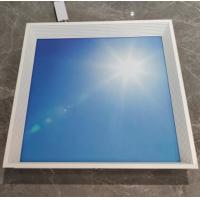 China Skylight blue sky clouds recessed 600x600mm decorative led ceiling panel light,decorative plate led panel on sale