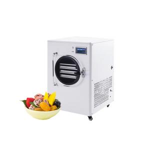 Automatic Multi-Function Mini Home Freeze Dryer For Food Meat Herb Tea Leaf Commercial