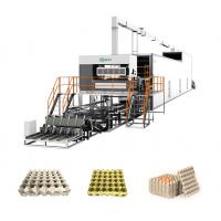 China High Capacity Egg Tray Manufacturing Machine ODM Egg Tray Automatic Machine on sale