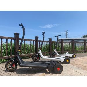 China Precursor 250W Self Balancing Electric Scooter With 11.3Ah Battery supplier