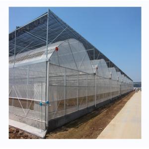 China Film Cover Material Agriculture Multi Span Greenhouse with Galvanized Steel Pipe Tube supplier