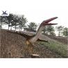 China Life Size Velociraptor Outdoor Dinosaur , Waterproof Little Pterosaur Dinosaur Garden Sculpture wholesale