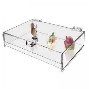 China Large Clear Acrylic Hinged Box With Hinged Lid And Lock Storage 16x8 supplier