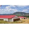 China Steel Structure Broiler Chicken House with Automated Feeding System wholesale