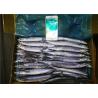China High Protein Frozen Pacific Saury wholesale