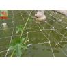 China White Plastic Pea And Bean Netting , Extruded Polyethylene Mesh Netting 3 Meters Width wholesale