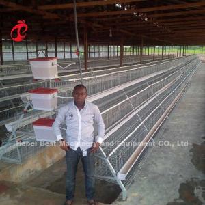 China Layers Battery Cage Price In Nigeria 12 Weeks Chicken 128 Birds Star supplier