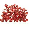 Healthy Dried Fruit Freeze Dried Sour Cherries Granule with Origin South America