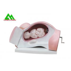 China Durable Medical Teaching Models Dystocia Training Medical Simulator Manikin supplier