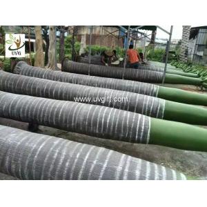 UVG PTR024 large artificial palm trees for park decoration