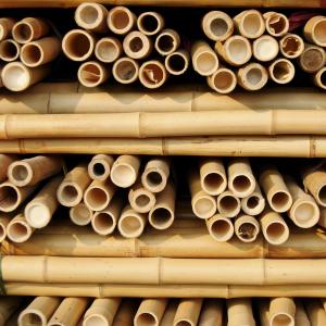 China 100 % Natural Strong Durable Moso Bamboo Pole Customize Length supplier