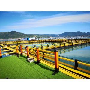 China Nangfengwang Large Plastic Fishing Platform Floats for Fishery Breeding Pontoons and Support Payments in USD wholesale