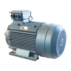 Three Phase Squirrel Cage Induction Motor Energy Saving 0.75KW To 355KW