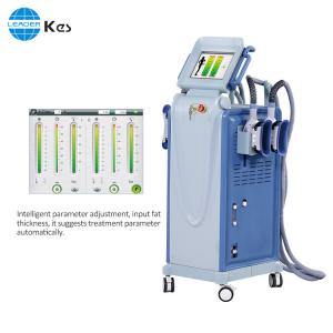 China 360 Degree Fat Freezeing Weight Loss Cryolipolysis Machine With Tft Screen supplier