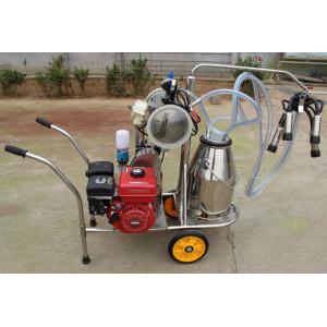 6mins Single Cow Milker , ISO Gasoline Engine Small Milking Machine For Cows