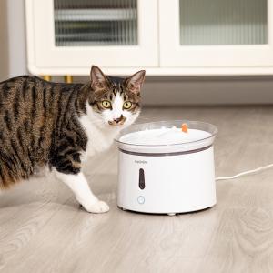 2023 Newest Pet Water Dispenser with Activated Carbon Filter and Time Setting Edition