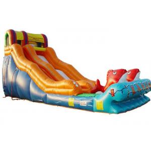 China Kindergarten Baby Kahuna Large Inflatable Slide Inflatable Fun Slide Fire Resistance supplier