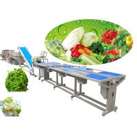 China Customized Vegetable Processing Equipment / Fruit And Vegetable Washer Machine on sale