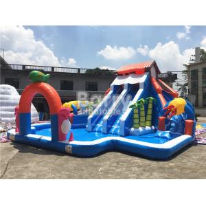 China Backyard Inflatable Water Slides And Pool Bouncy Water Slides Customized supplier