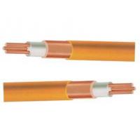China MICC Mineral Insulated Cable 1000V Fire Resistance 1X70mm2 Heavy Dut on sale