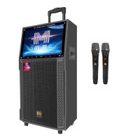 China Professional Portable Karaoke Video Machine With 2 Microphones ROHS Approved on sale