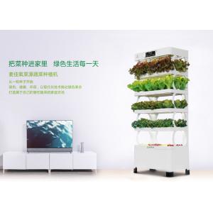 220W Indoor Smart Hydroponics System Vertical Farming Environmental Friendly