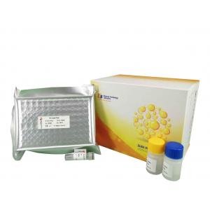 China 96 Wells Customized Mouse High Sensitive Immunoglobulin Sandwich ELISA Kit supplier