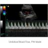 China Color Doppler Ultrasound System Portable Ultrasound Scanner With 12.1 Inch LED Monitor And 2 Probe Ports wholesale