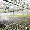 China Wheat Greenhouse Irrigation System / Black Polytunnel Irrigation Systems wholesale