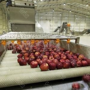 CE Certified Apple Juice Processing Line with HPP UHP Technology