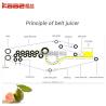 China 0.5-20T/H Industrial Concentrated Juice Processing Line Baobab Juice Processing Machine wholesale
