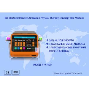 China Non Surgical Muscle Sculpting Ems Muscle Stimulation Machine Body Shaping Trusculpt Flex supplier