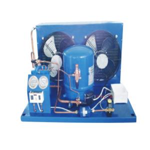 China Small Air Cooled Cold Room Condensing Unit For Seafood supplier