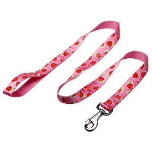 OEM training dog leash Silk Screen Pattern dog training lead