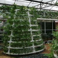 China Hydroponic Tower Garden Hydroponics Growing Vegetable Aeroponic Tower on sale