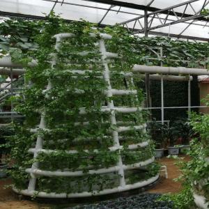 Hydroponic Tower Garden Hydroponics Growing Vegetable Aeroponic Tower