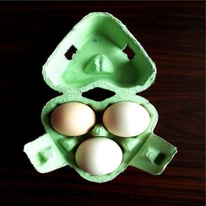 Customizable Plastic Injection Food Container Mold Egg Carton  Use
