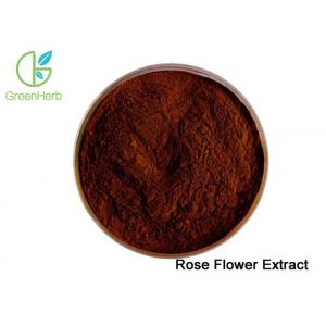Free Sample Plant Extract Powder Organic Rose Powder For Functional Food