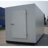 China Assembled Structure Hinged Door for Cold Room Customization and Customized Request wholesale