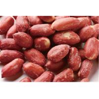 China Beer Nuts Big Red Candy Coated Peanuts Kernel Various Taste HALAL Certifiaction on sale