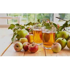SS316 Concentrate Apple Juice Processing Plant 25t/H For Beverage