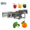 China Máquina de lavado y procesamiento de frutas totalmente automática con opciones personalizadas wholesale